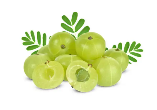 Goosebery (Avla/Amla)