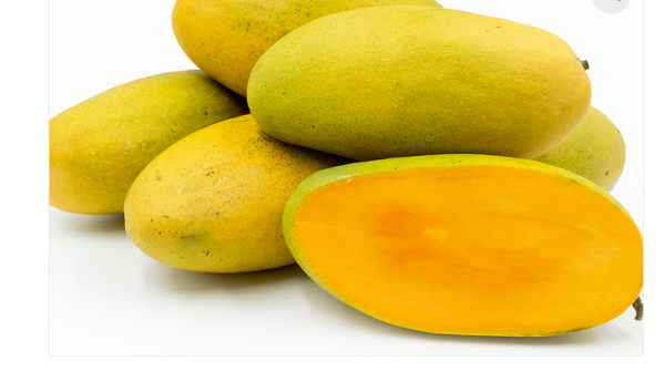 Mango (Dasheri/दशहरी)