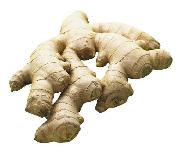 Ginger   (Adrak)