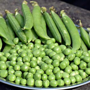 Peas-(Matar)