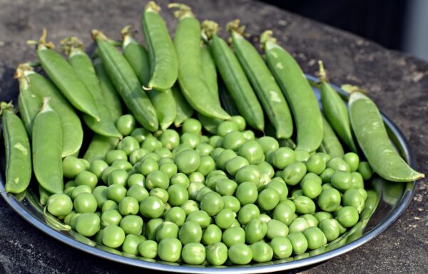 Peas-(Matar)