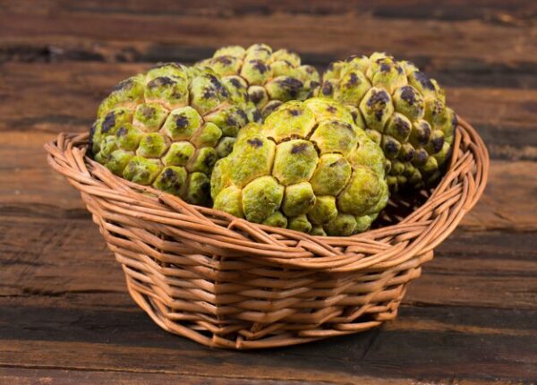 Custard Apple (Sitaphal)